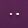 Chic Circular Silver Stud Earrings