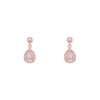 Dazzling Delight Silver Drop Earrings