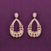 Elegant Charm Zircon Studded Silver Drop Earrings