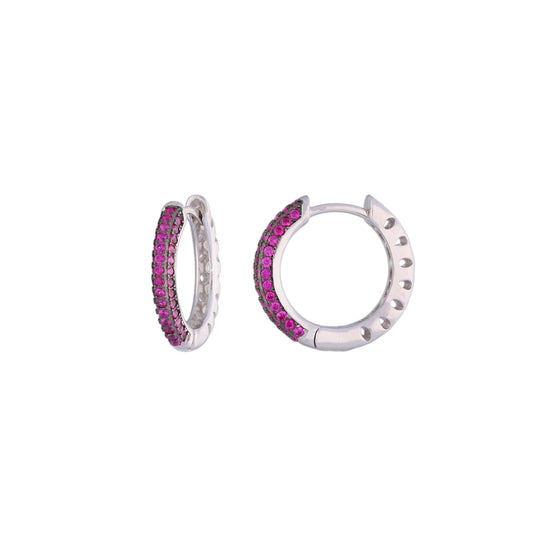 Trendy Sterling Silver Hoops Earrings