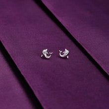  Playful Dolphins Silver Children Earrings