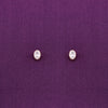 Oval Orbits Casual Silver Studs Earrings