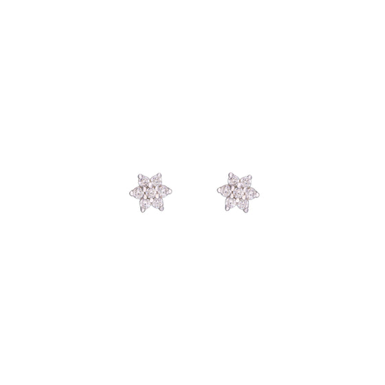 Minimalistic Floral Star Silver Earrings
