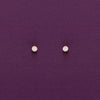 Oval Crystals Casual Silver Studs Earrings