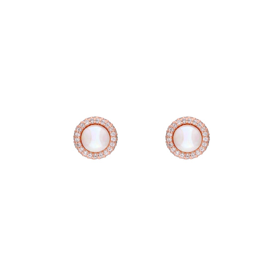 Connoisseur's Delight Pearl Silver Earrings