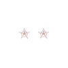 Stars Zircon Studded Silver Earrings