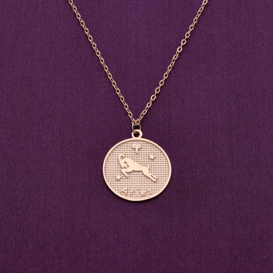 Minimalistic Zodiac Engraved Disc Silver Chain Necklace